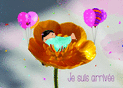 Naissance en fleur et ballons roses
